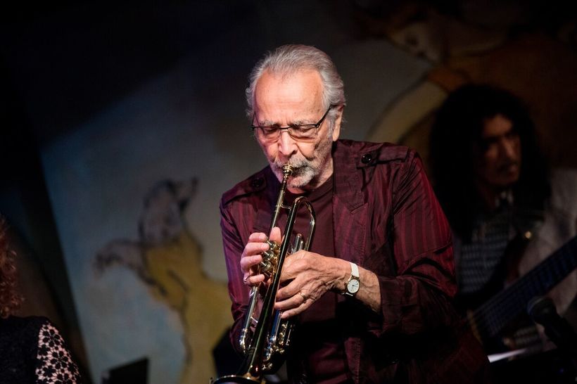 herb alpert