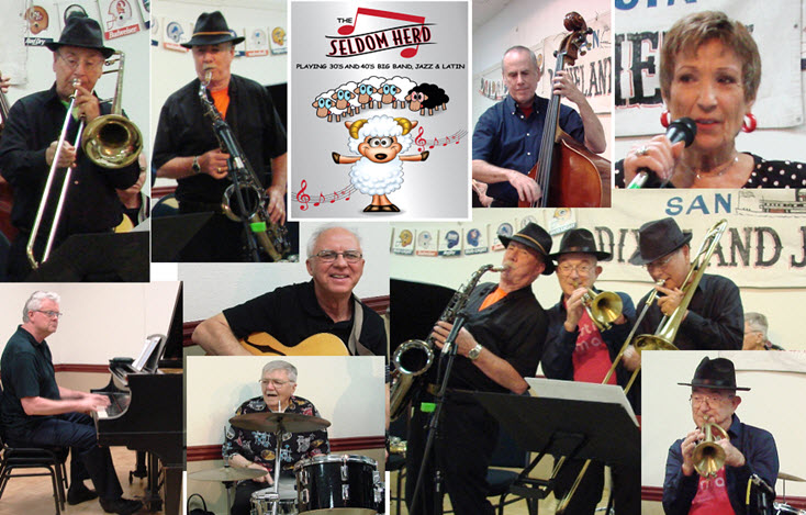 seldom herd band collage